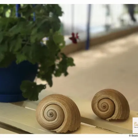 Seaside Deluxe Lejlighed Skála Kallirákhis