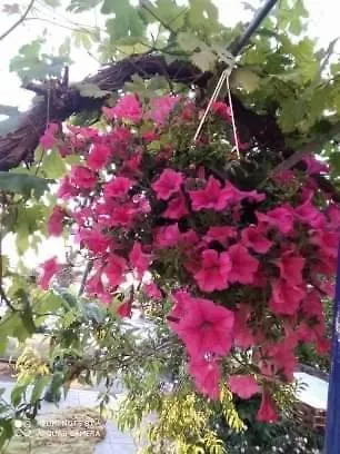 公寓 Seaside Deluxe Skála Kallirákhis